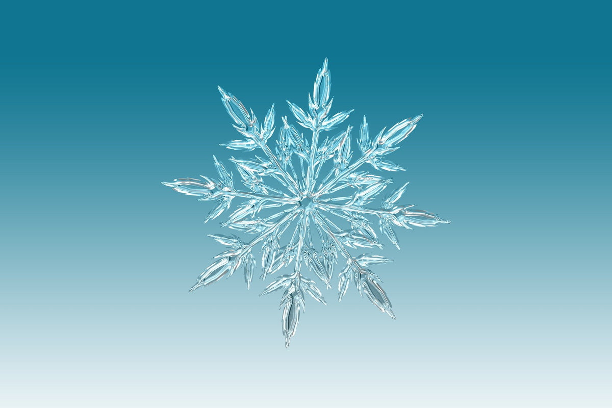 Our Top 4 Favorite Christmas Craft Ideas for 2022