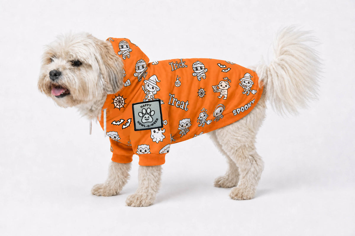 Craftikit Halloween Dog Hoodie, Color Your Own Fleece Pet Sweater