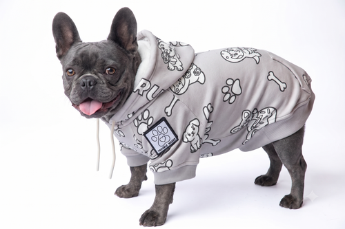Coloring dog hoodies