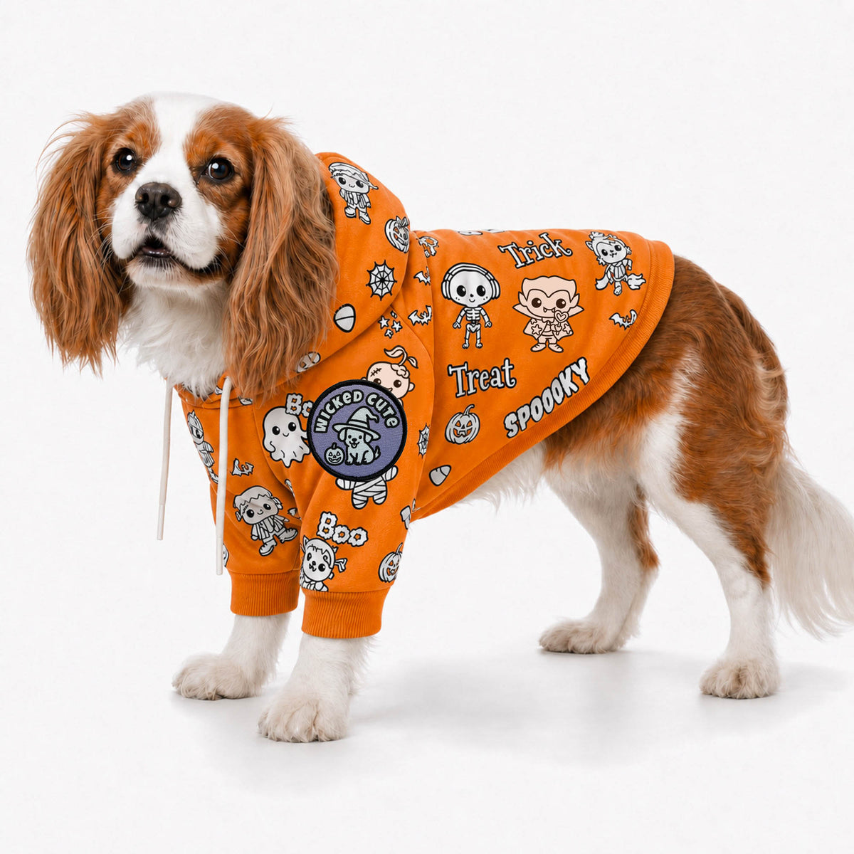 Craftikit Halloween Dog Hoodie, Color Your Own Fleece Pet Sweater