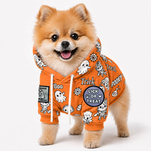 Coloring dog hoodies